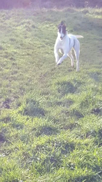 received 1307556166002650