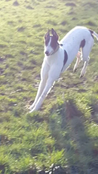 received 1307556169335983