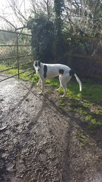 received 1307556172669316