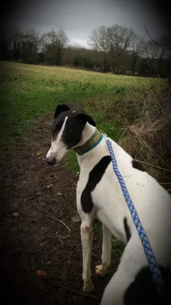 received 1307556176002649