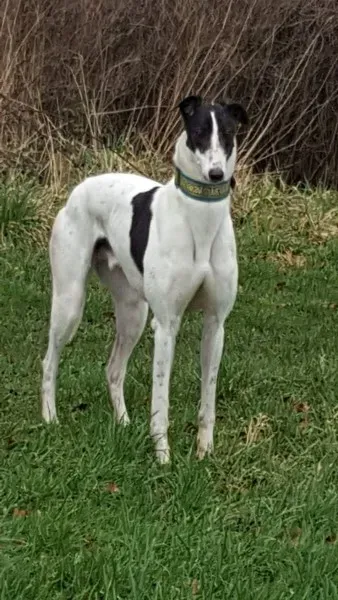 received 1307556179335982