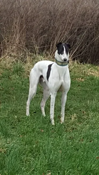 received 1307556186002648