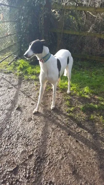 received 1307556189335981