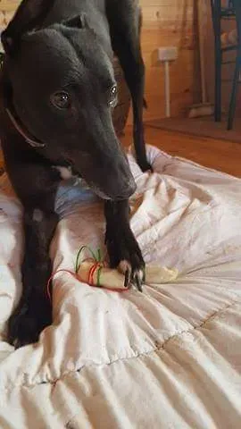 received 1323280824430184