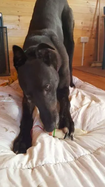 received 1323280927763507