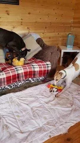 received 1323281107763489