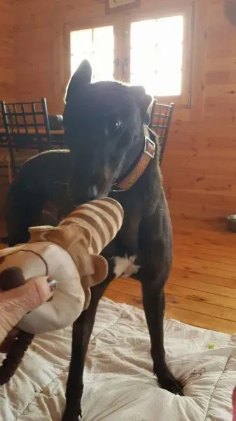 received 1323281784430088