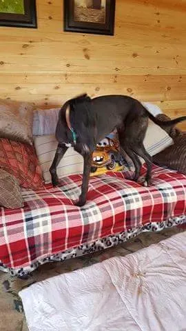 received 1323281867763413