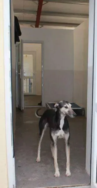 received 1351852301533467