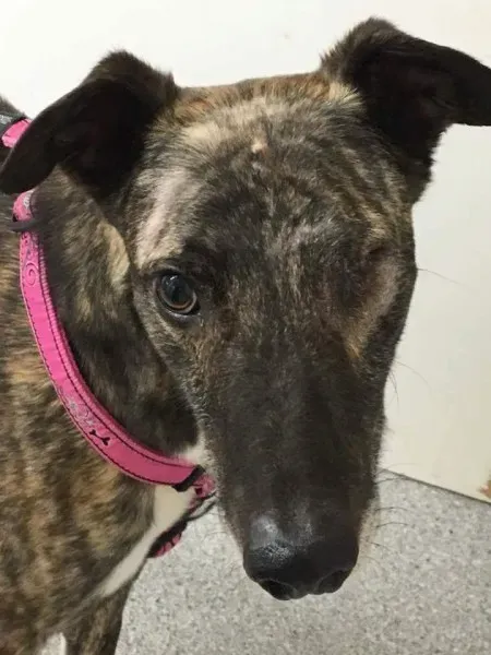 received 1351852371533460