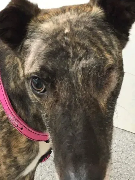 received 1351852424866788