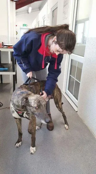 received 1351852458200118