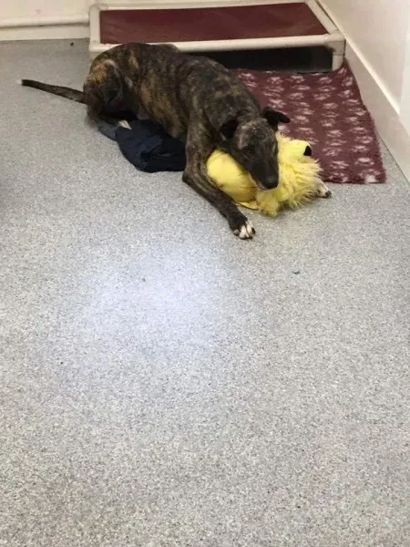 received 1351852534866777