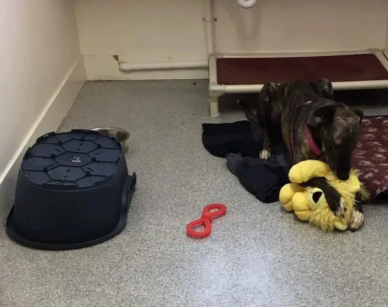 received 1351852558200108