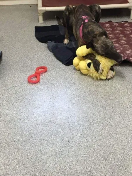 received 1351852571533440