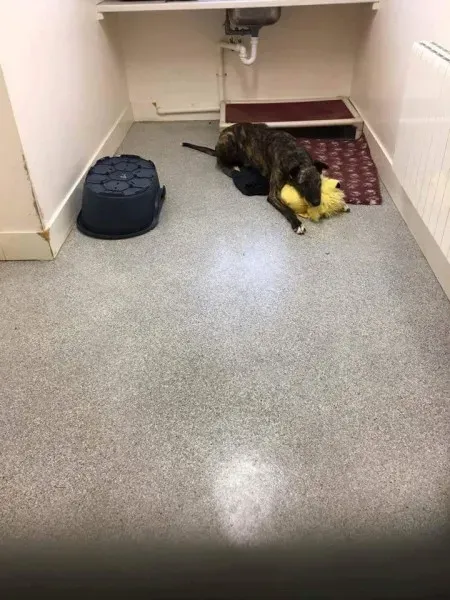 received 1351852584866772