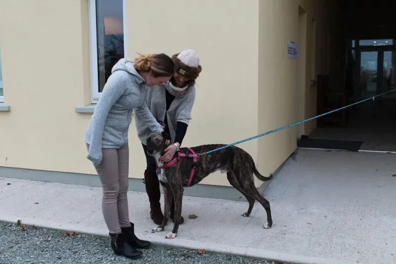 received 1351852618200102