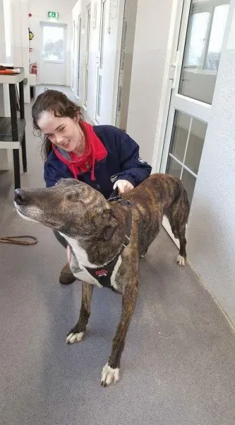 received 1351852644866766