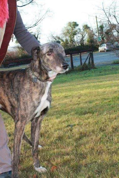 received 1351852654866765