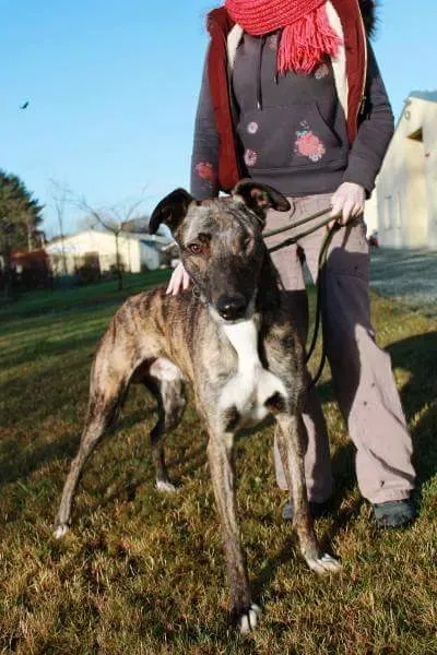 received 1351852678200096