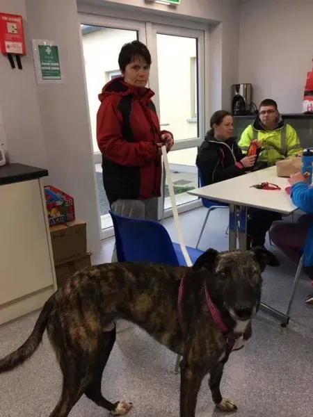 received 1351852704866760