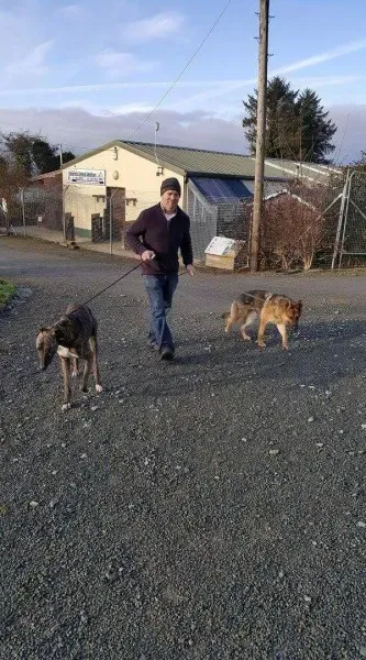 received 1351852754866755