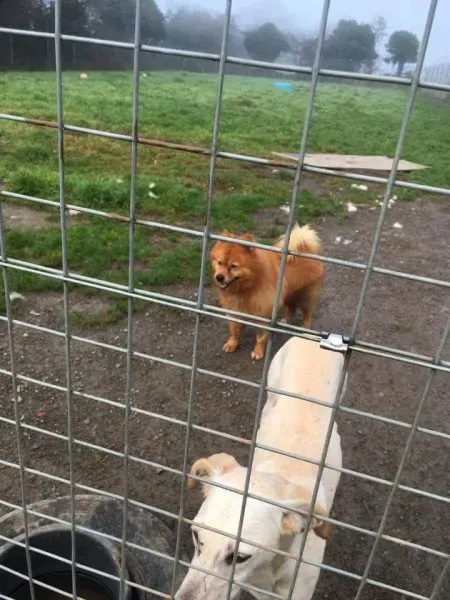 received 1351852774866753