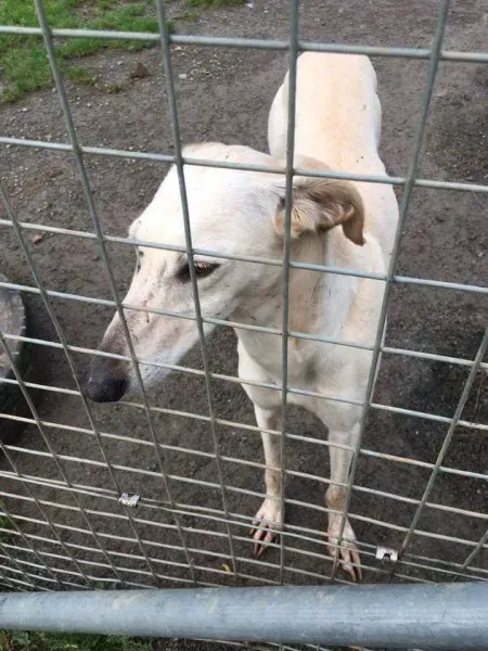 received 1351852781533419