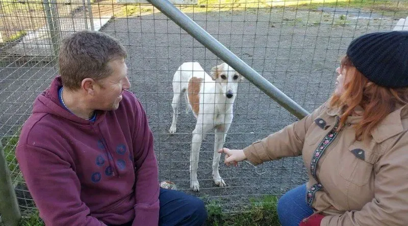 received 1351853311533366