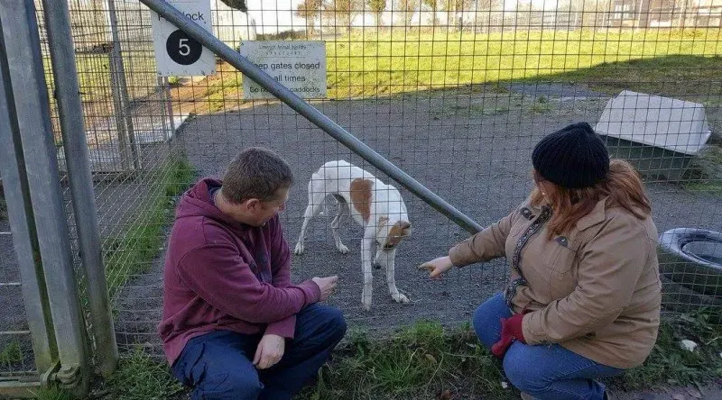 received 1351853358200028