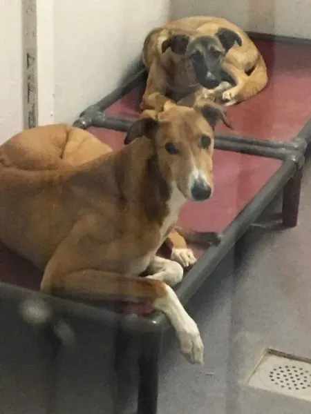 received 1351853551533342