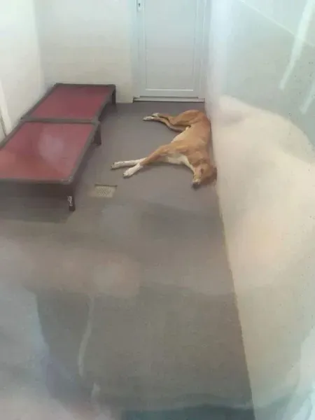 received 1351853654866665