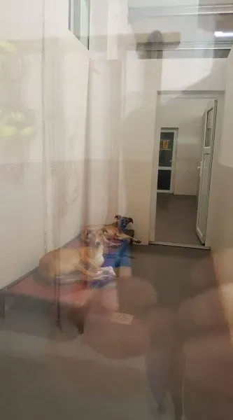 received 1351853691533328