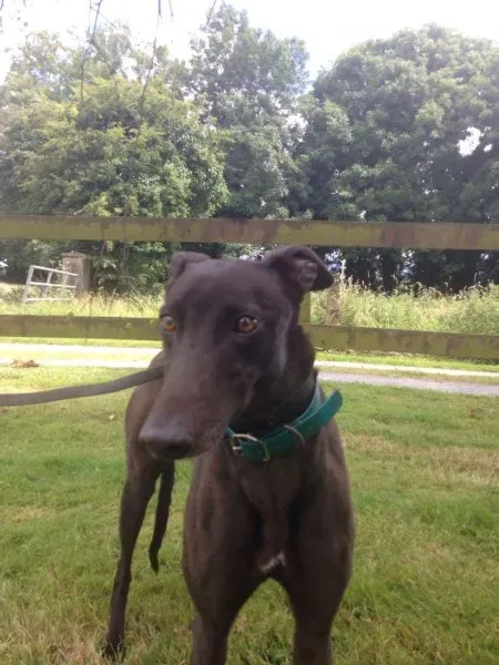 received 1368551643257987