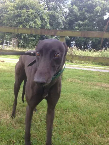 received 1368551789924639