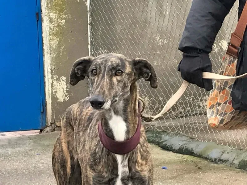 received 1372735516111812