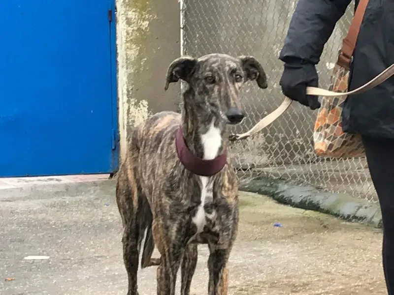 received 1372735526111811