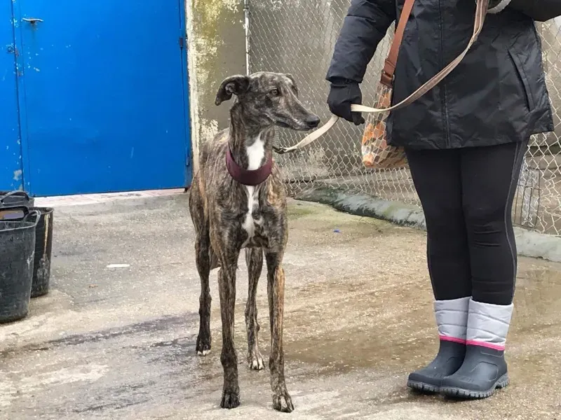 received 1372735529445144