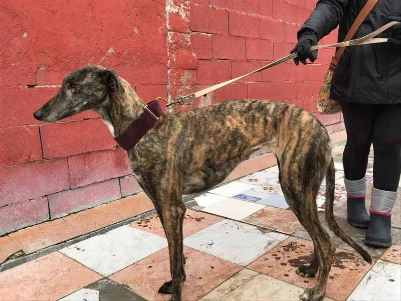 received 1372735539445143