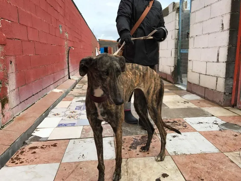 received 1372735559445141