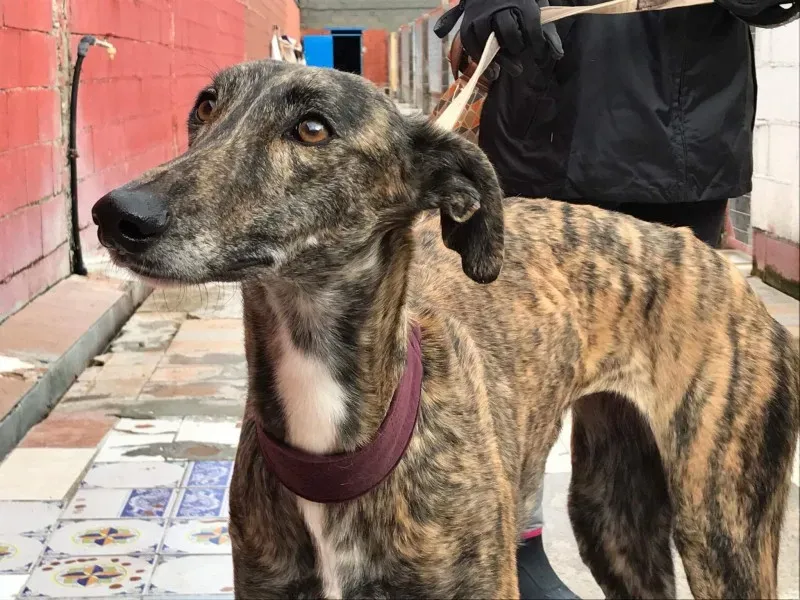 received 1372735579445139