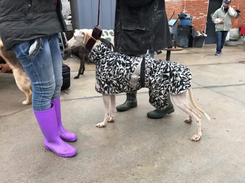 received 1399016676817029