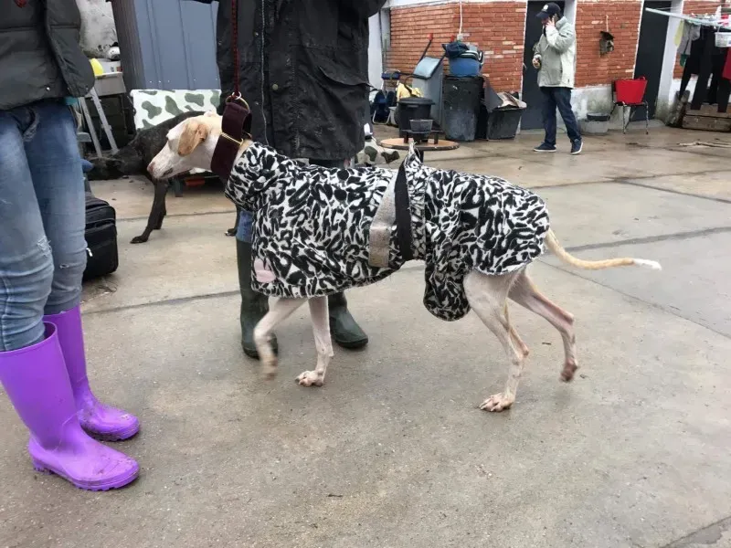 received 1399016723483691