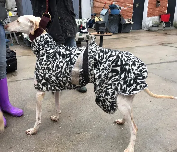 received 1399016813483682