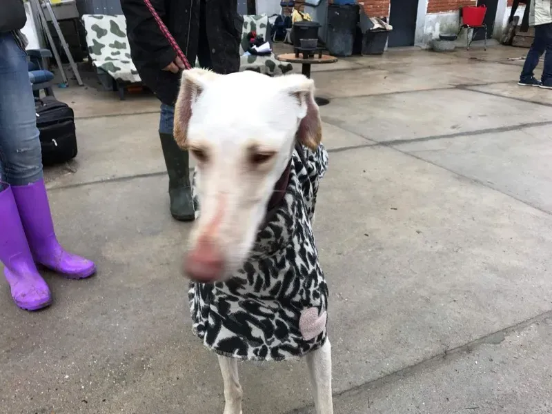 received 1399016920150338