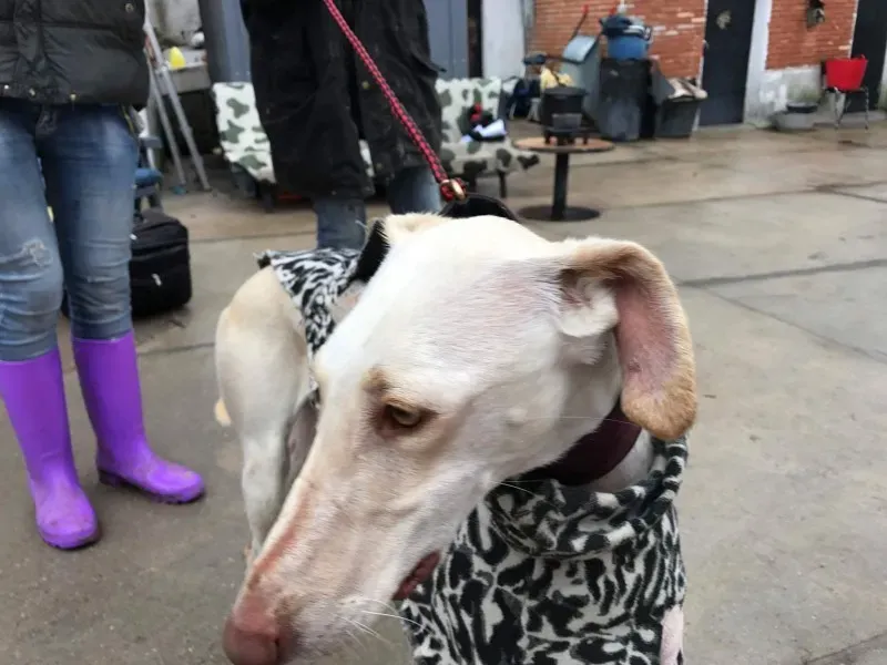 received 1399016973483666