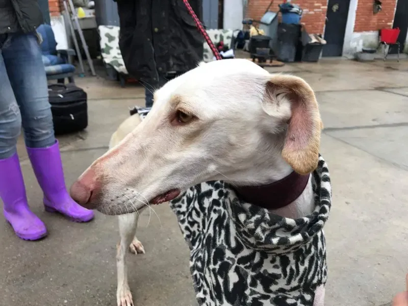 received 1399017006816996