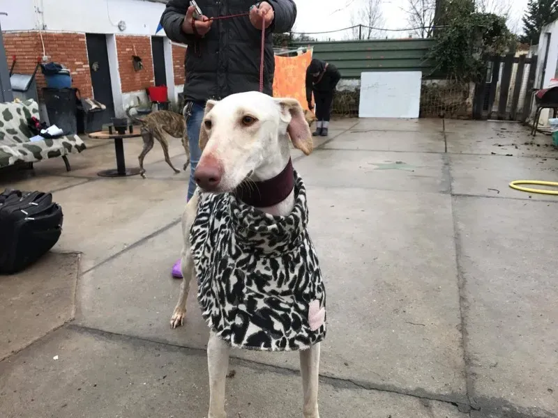 received 1399017100150320