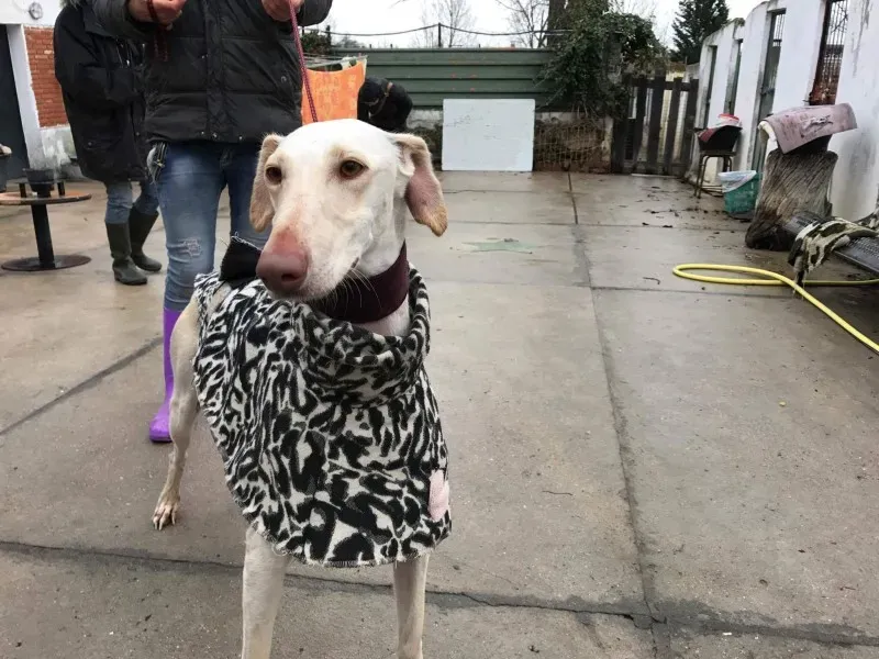 received 1399017186816978