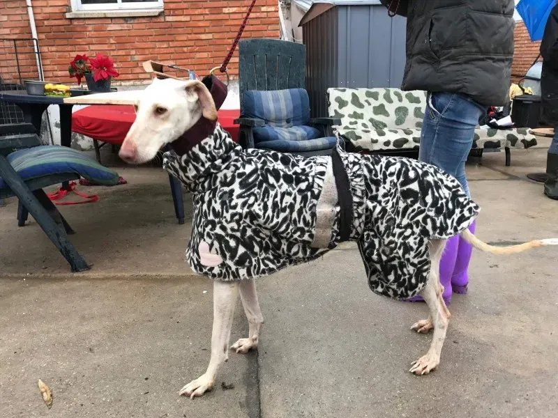 received 1399017306816966